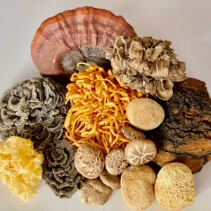 6 Mushroom Blend Capsules x 60